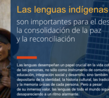Las ONU declara Año Internacional de las Lenguas Indígenas 2019
