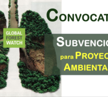 Global Forest Watch abre convocatoria para financiar proyectos ambientales, becas tecnológicas y concurso de historias