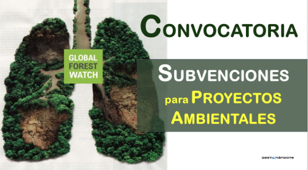 Global Forest Watch abre convocatoria para financiar proyectos ambientales, becas tecnológicas y concurso de historias