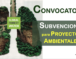 Global Forest Watch abre convocatoria para financiar proyectos ambientales, becas tecnológicas y concurso de historias