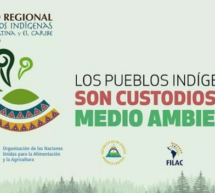 Presidente de la FAPI participa de Diálogo Regional de los Pueblos Indígenas de América Latina y El Caribe