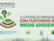 Presidente de la FAPI participa de Diálogo Regional de los Pueblos Indígenas de América Latina y El Caribe