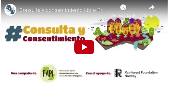 Un vídeo explica en 5 minutos el paso a paso de la Consulta y Consentimiento Libre Previo e Informado con los Pueblos Indígenas